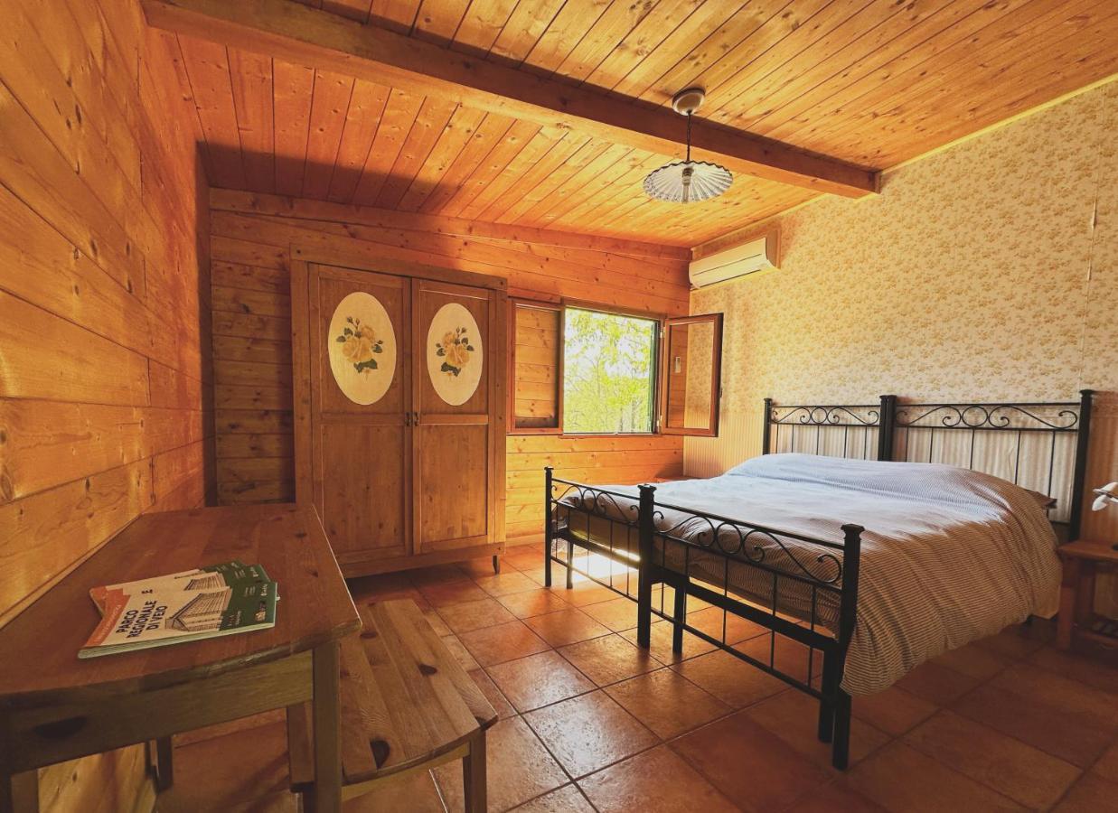 Night In The Wood Sorbo Villa Campagnano Di Roma Luaran gambar